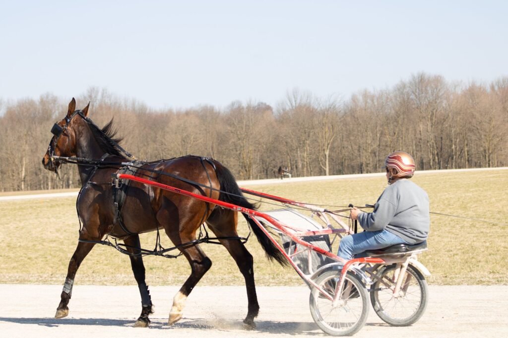 Canadian horse racing tax breaks