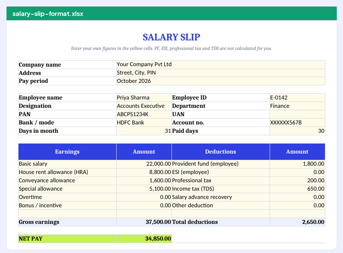 Salary slip Excel template preview